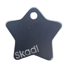 Engraved medal 